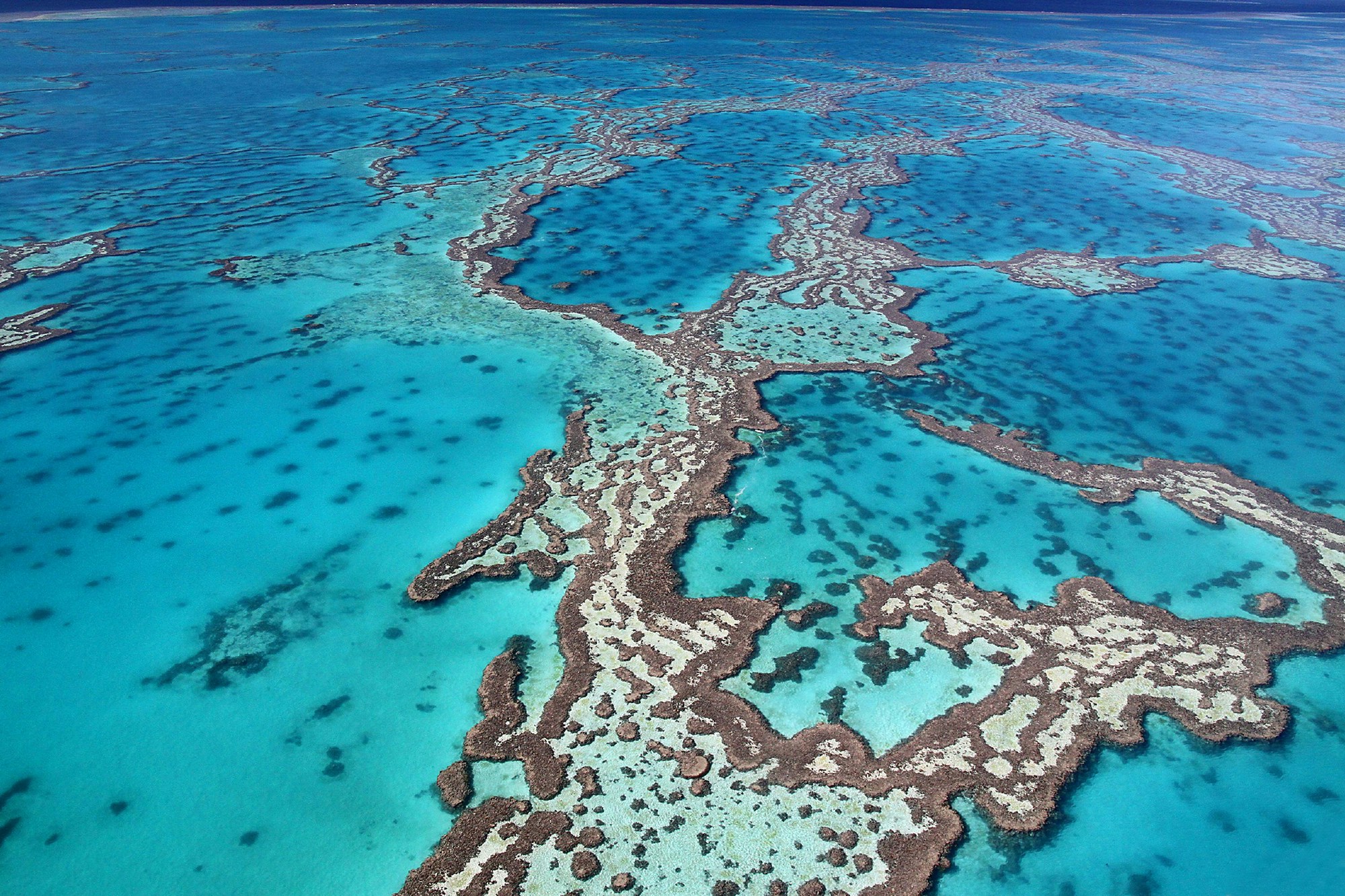 Aerial view of the Great Barrier Reef © JC Photo / Shutterstock