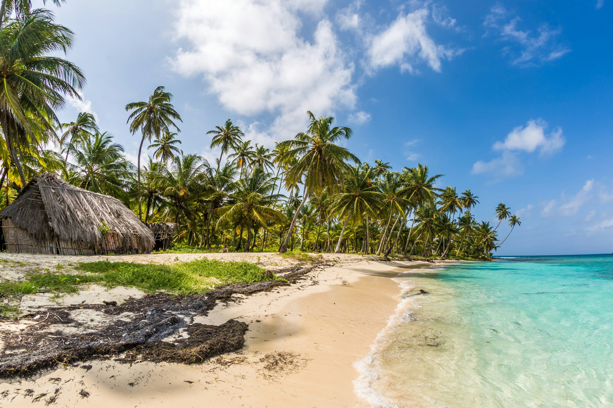 The palm-fringed shoreline of the San Blas Islands, Panama © Andy Troy / 500px