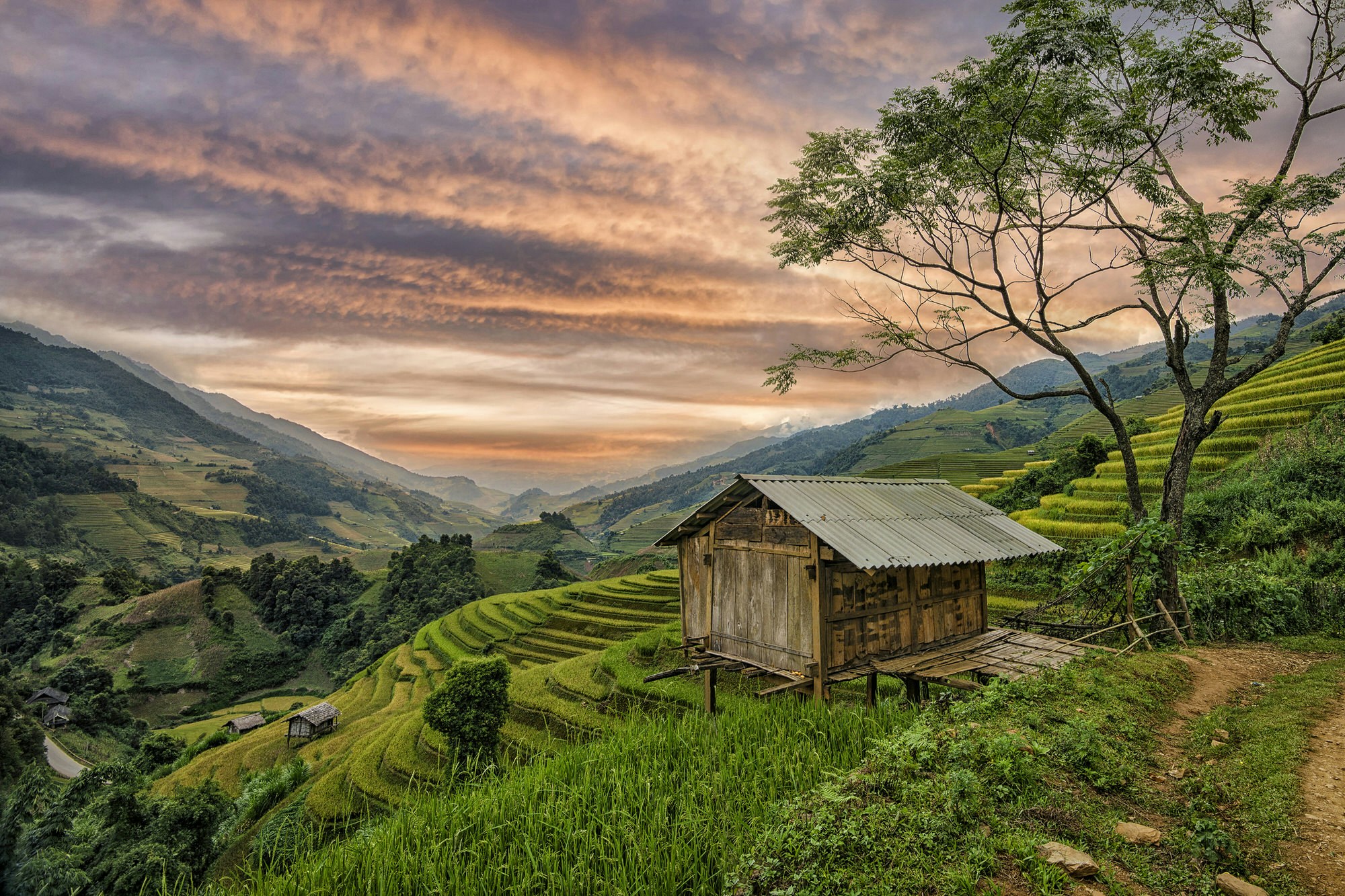 Small house overlooking the green rice terraces of Sapa, Vietnam