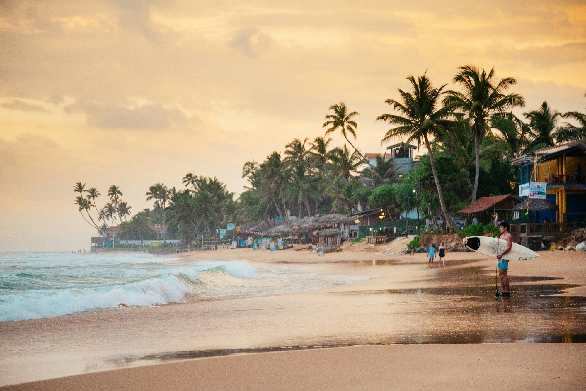 Surfer stands on the sand at sunset, Narigama beach, Sri Lanka