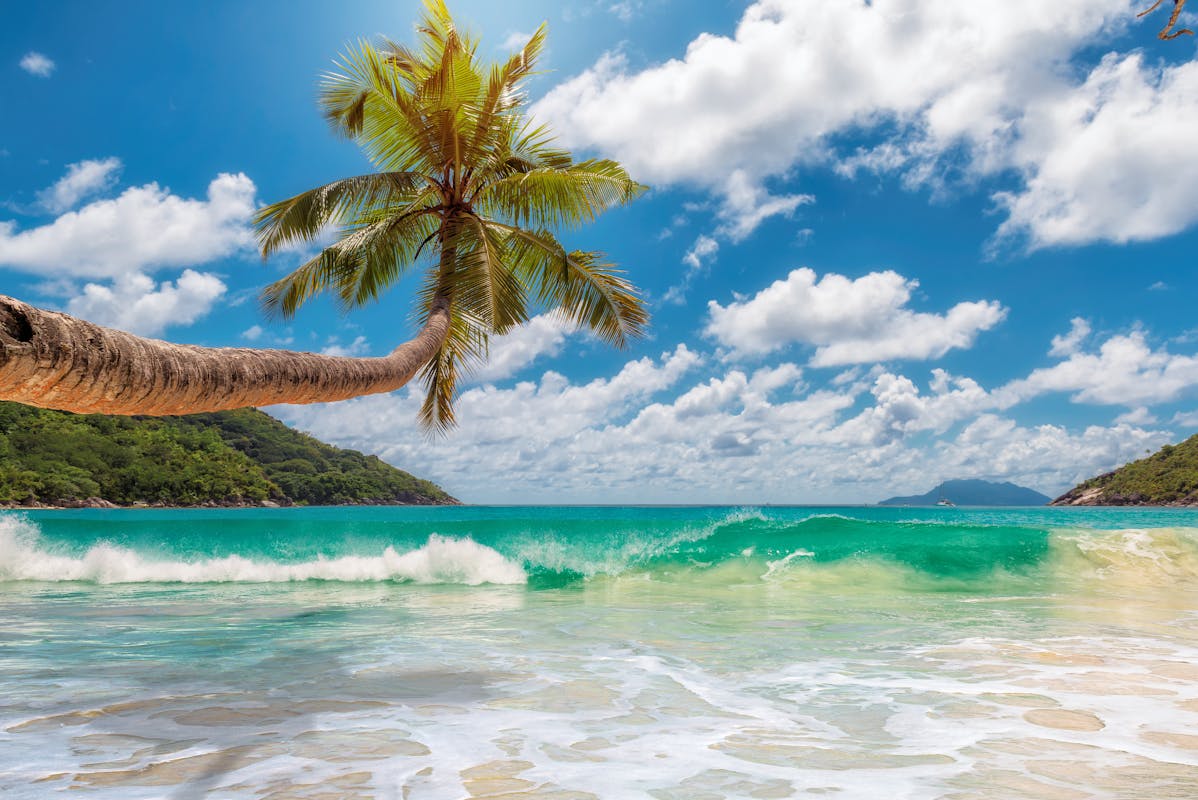 beaches coasts and islands