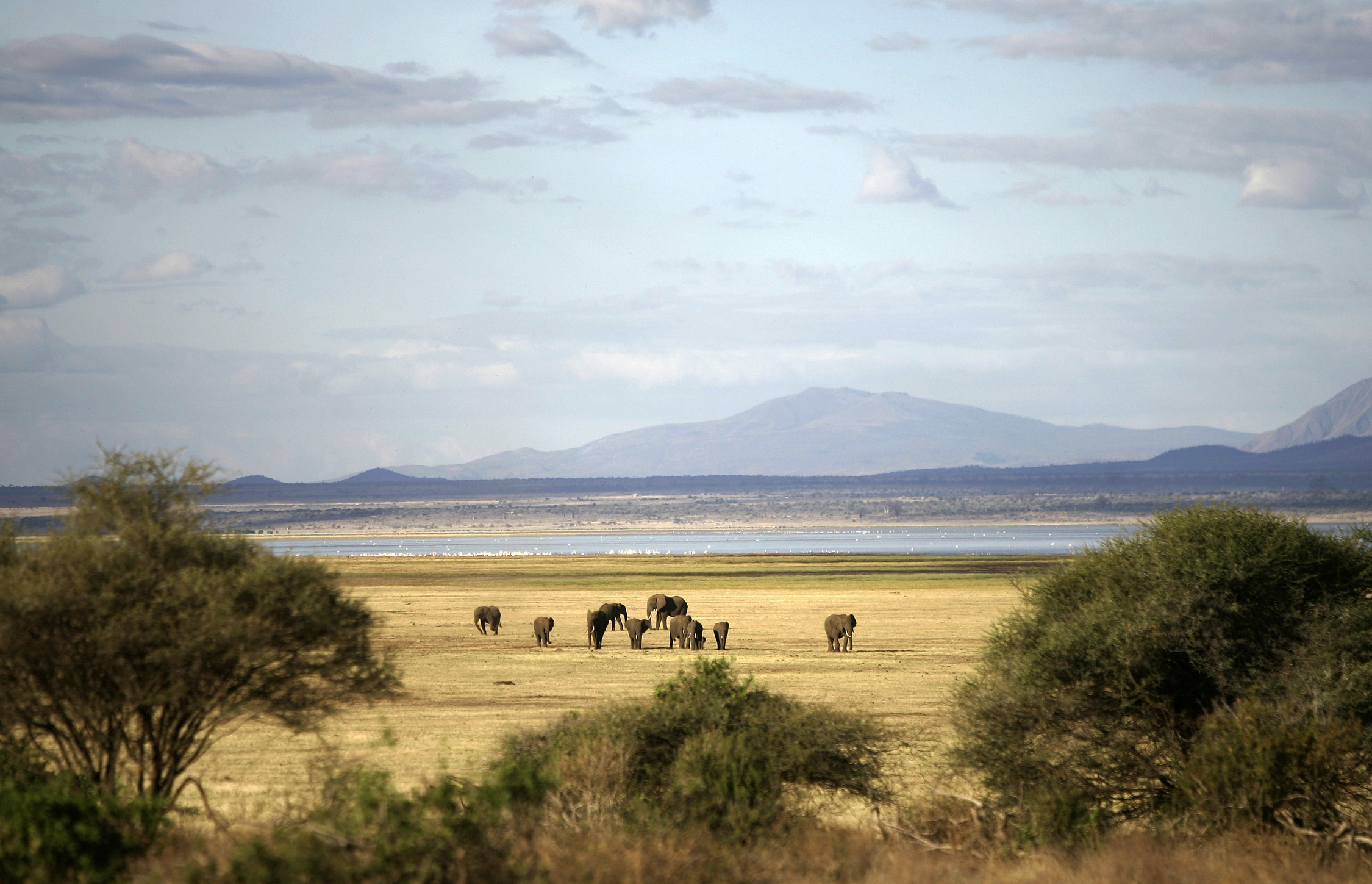 Lake Manyara National Park Travel Lonely Planet   106909539 Master 