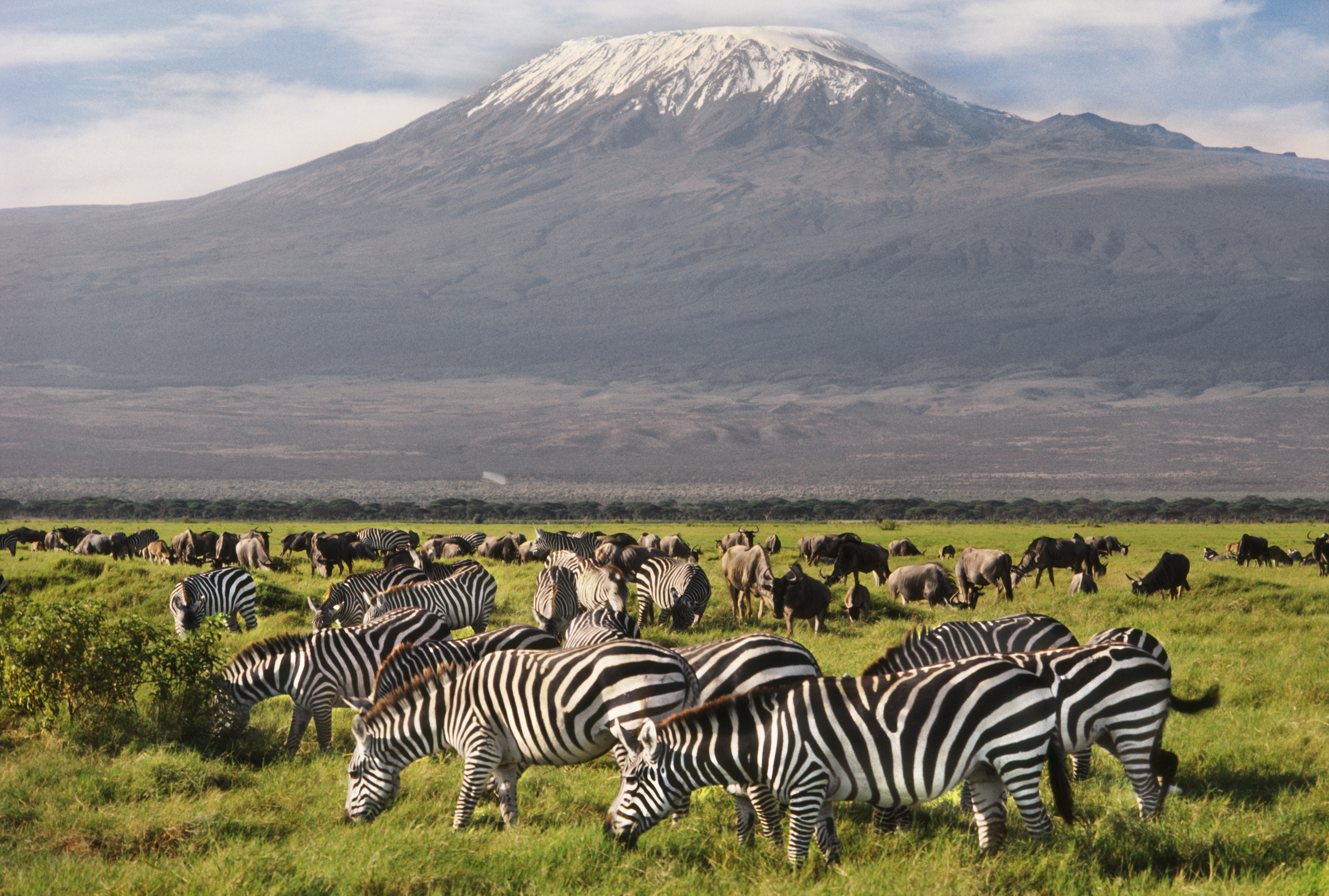 Amboseli National Park Travel | Southeastern Kenya, Kenya - Lonely Planet