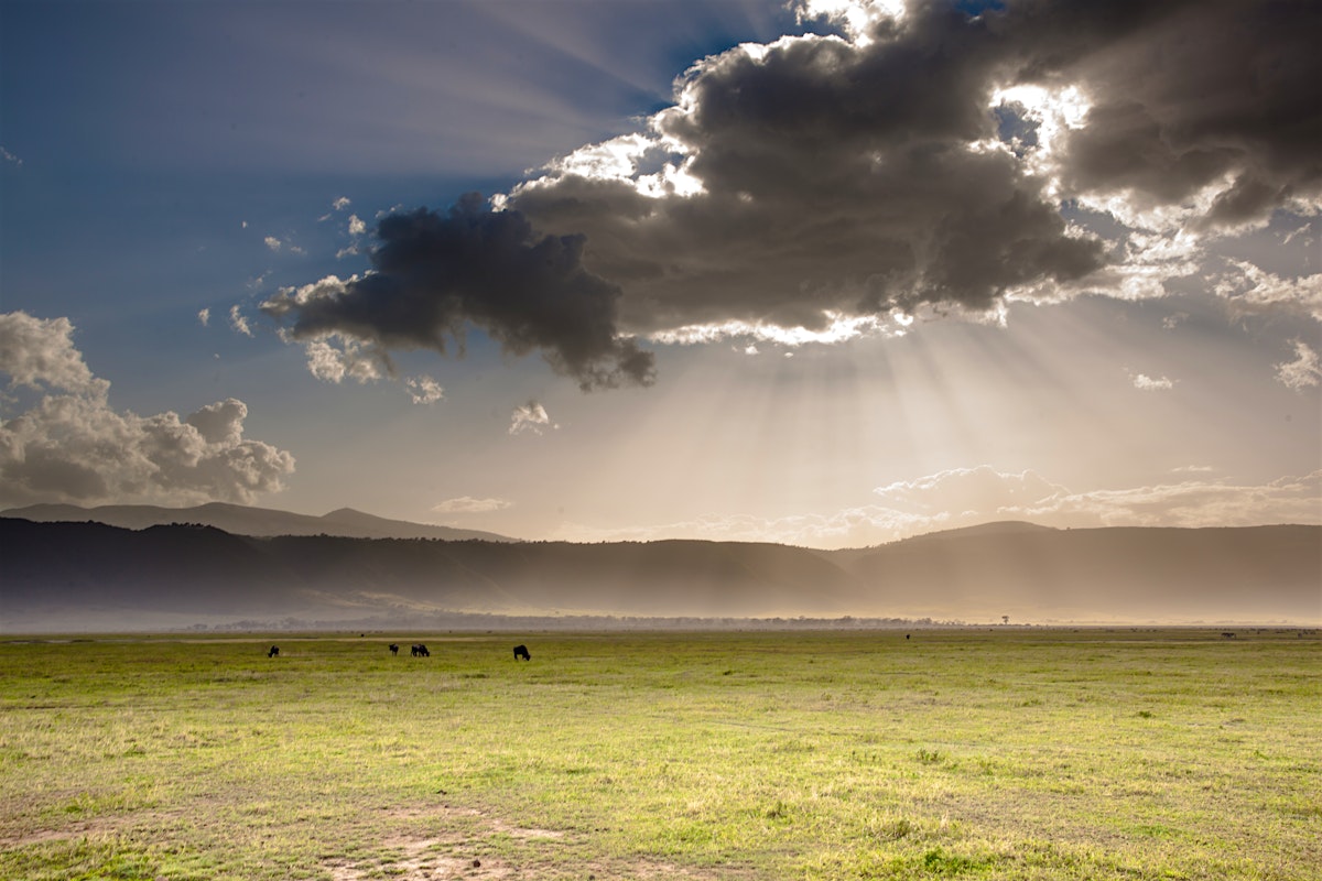 Ngorongoro Crater travel - Lonely Planet