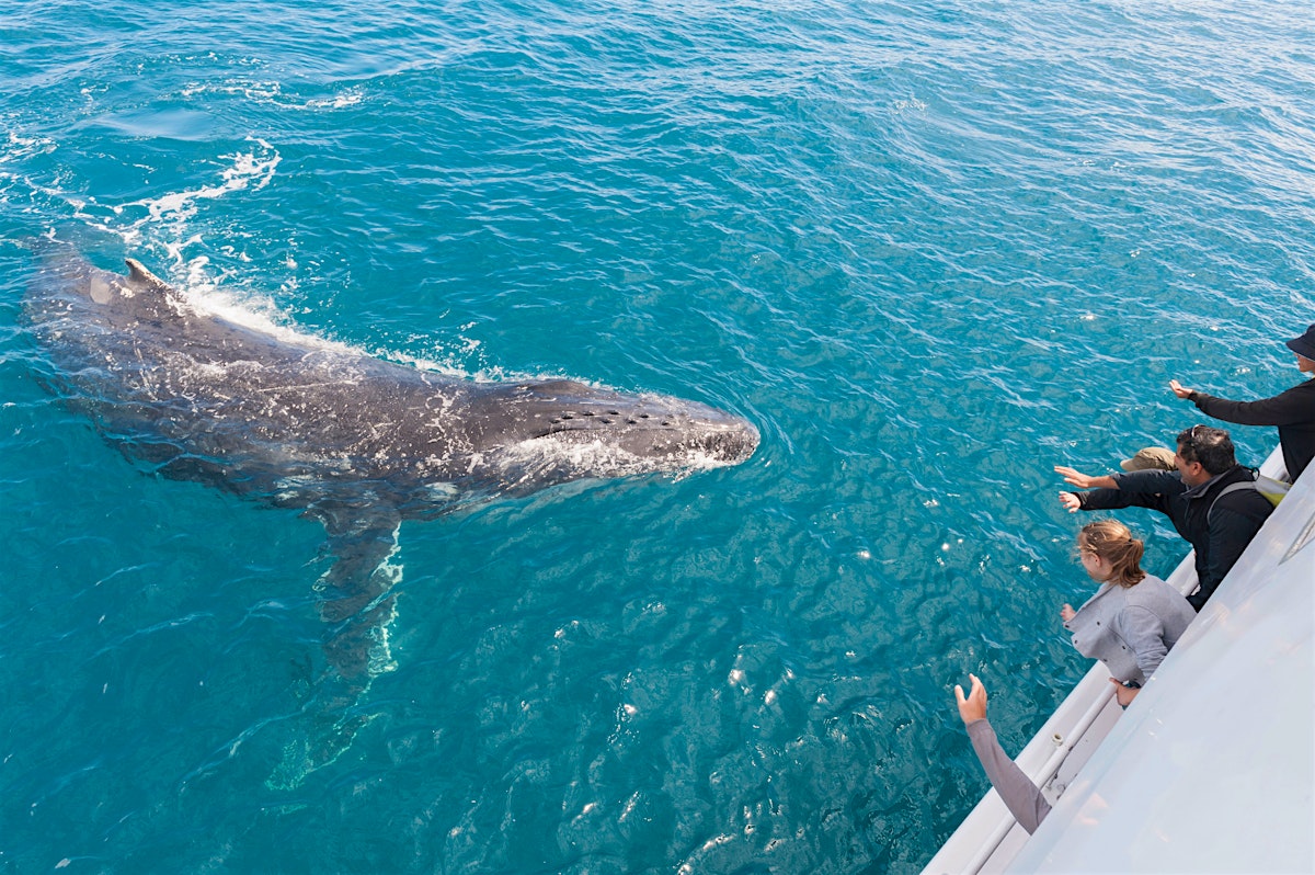 Hervey Bay travel Queensland, Australia Lonely