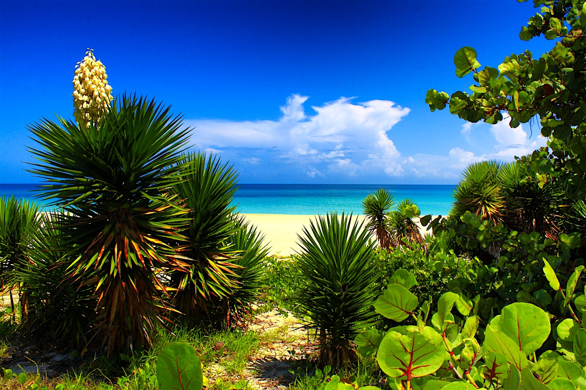 Car Detail Shop >> Varadero travel | Cuba - Lonely Planet Car Detail Shop >> Varadero travel | Cuba - Lonely Planet