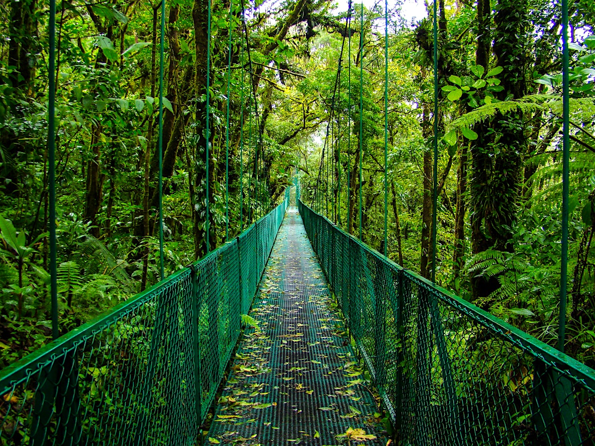 Local Car Insurance >> Monteverde & Santa Elena travel | Northwestern Costa Rica, Costa Rica - Lonely Planet Local Car Insurance >> Monteverde & Santa Elena travel | Northwestern Costa Rica, Costa Rica - Lonely Planet