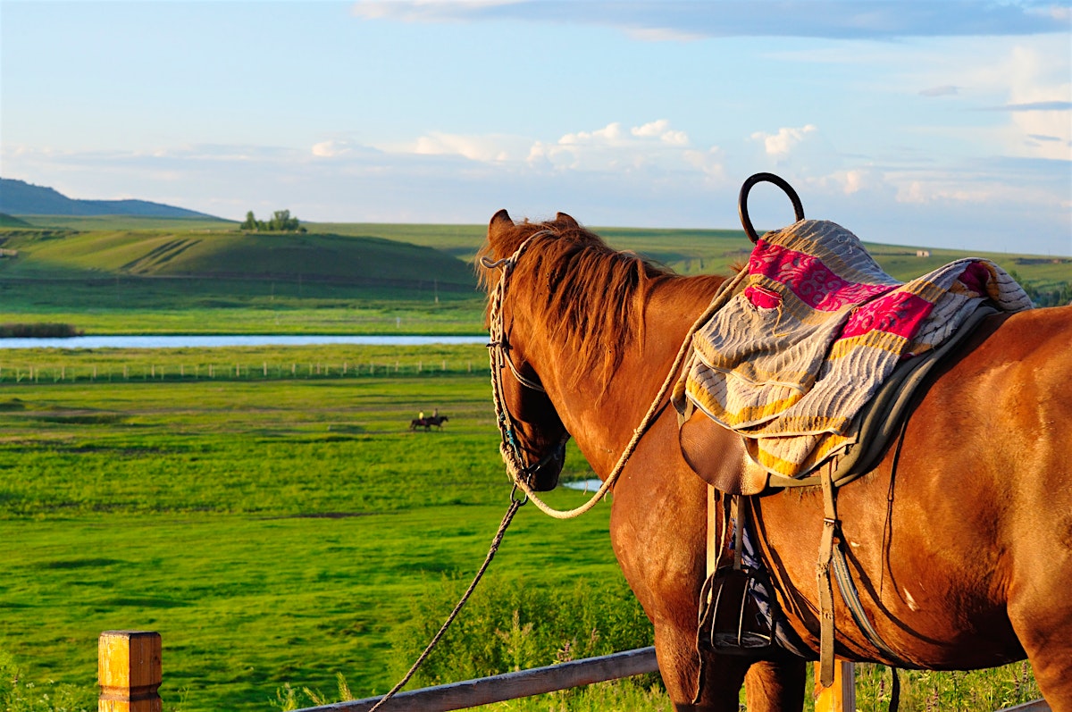 Inner Mongolia travel | China - Lonely Planet