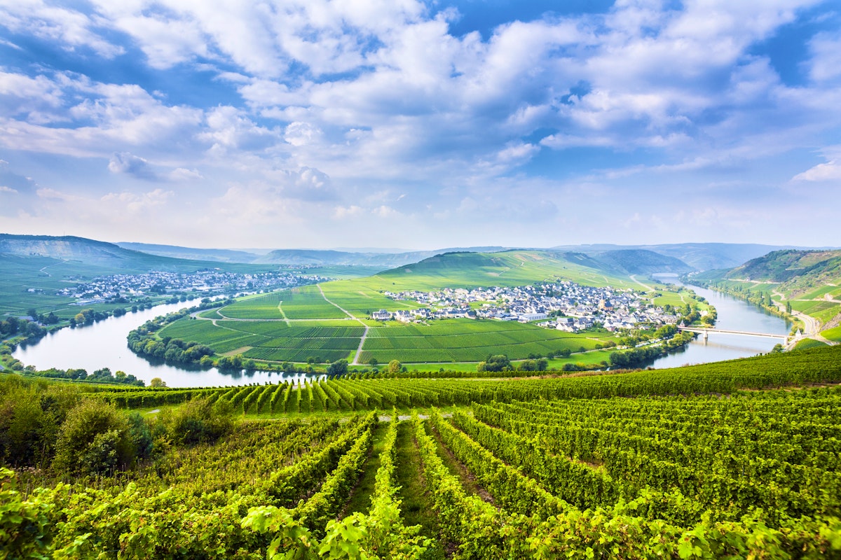 The Moselle Valley   Lonely Planet