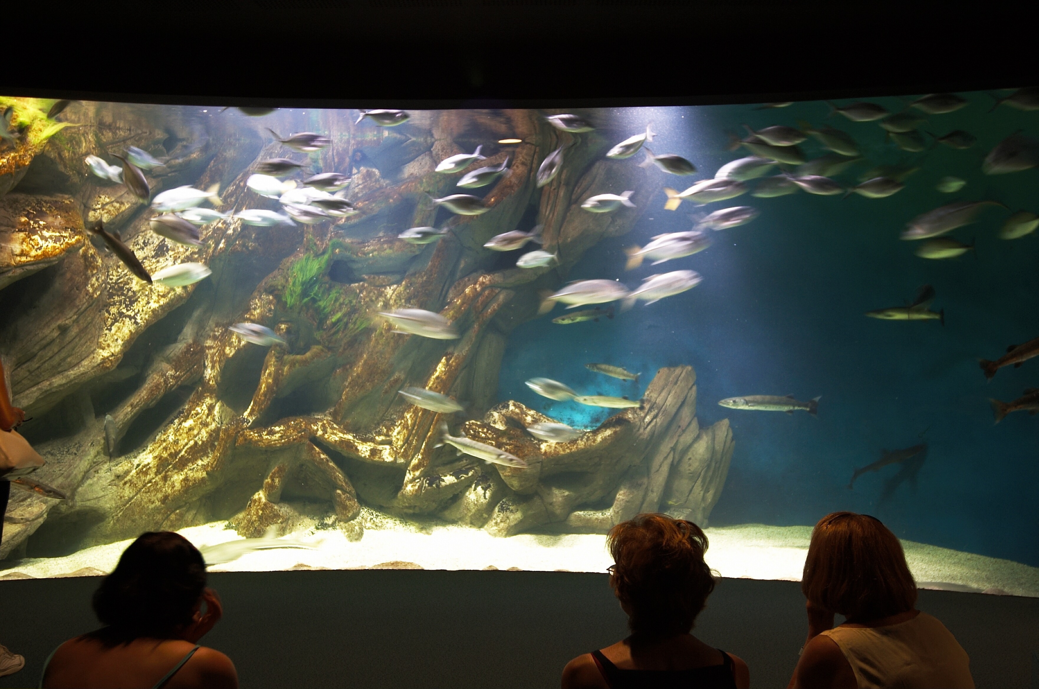 Aquarium La Rochelle La Rochelle, France Attractions Lonely