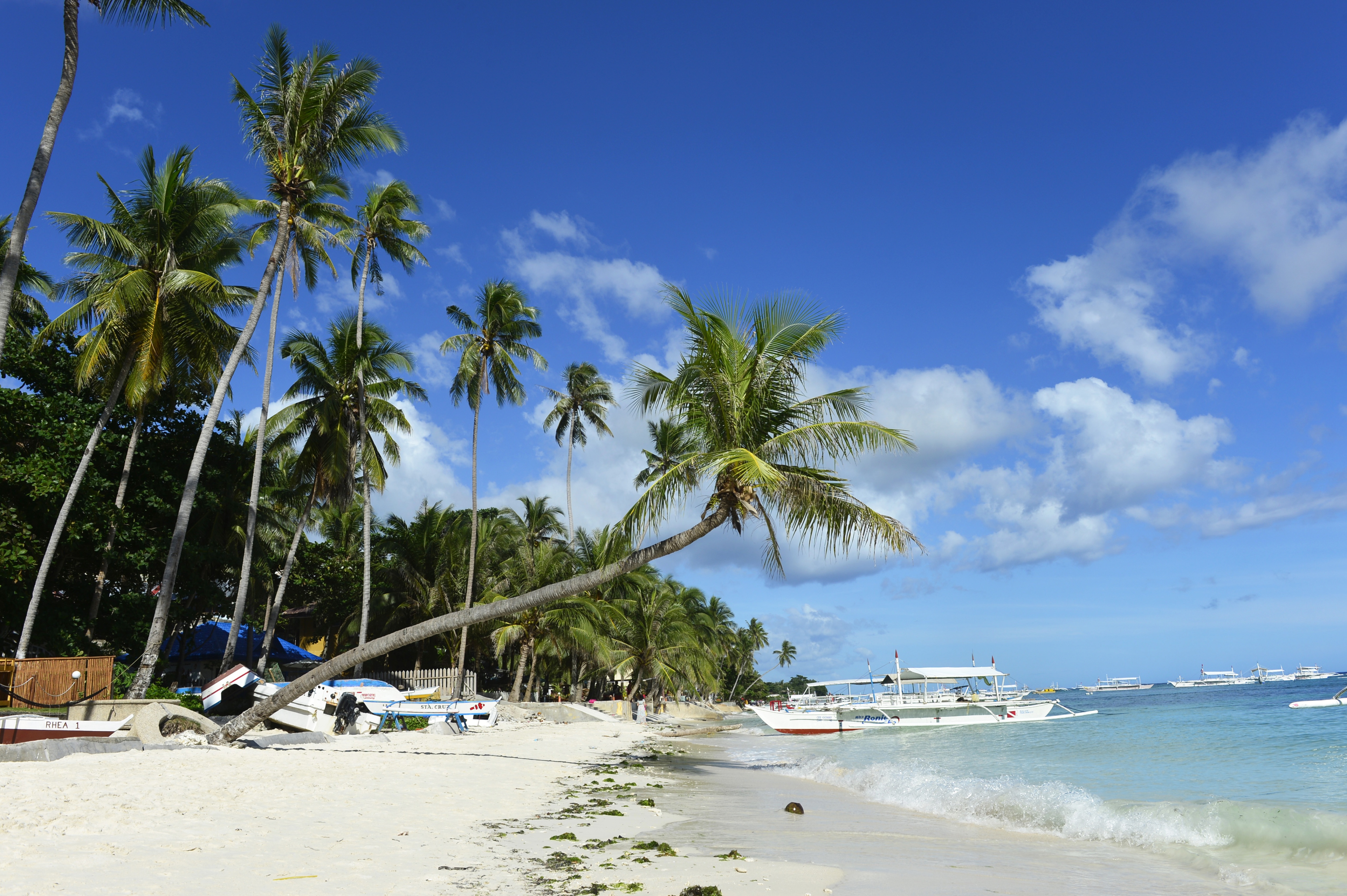 Panglao Island Travel | Philippines - Lonely Planet