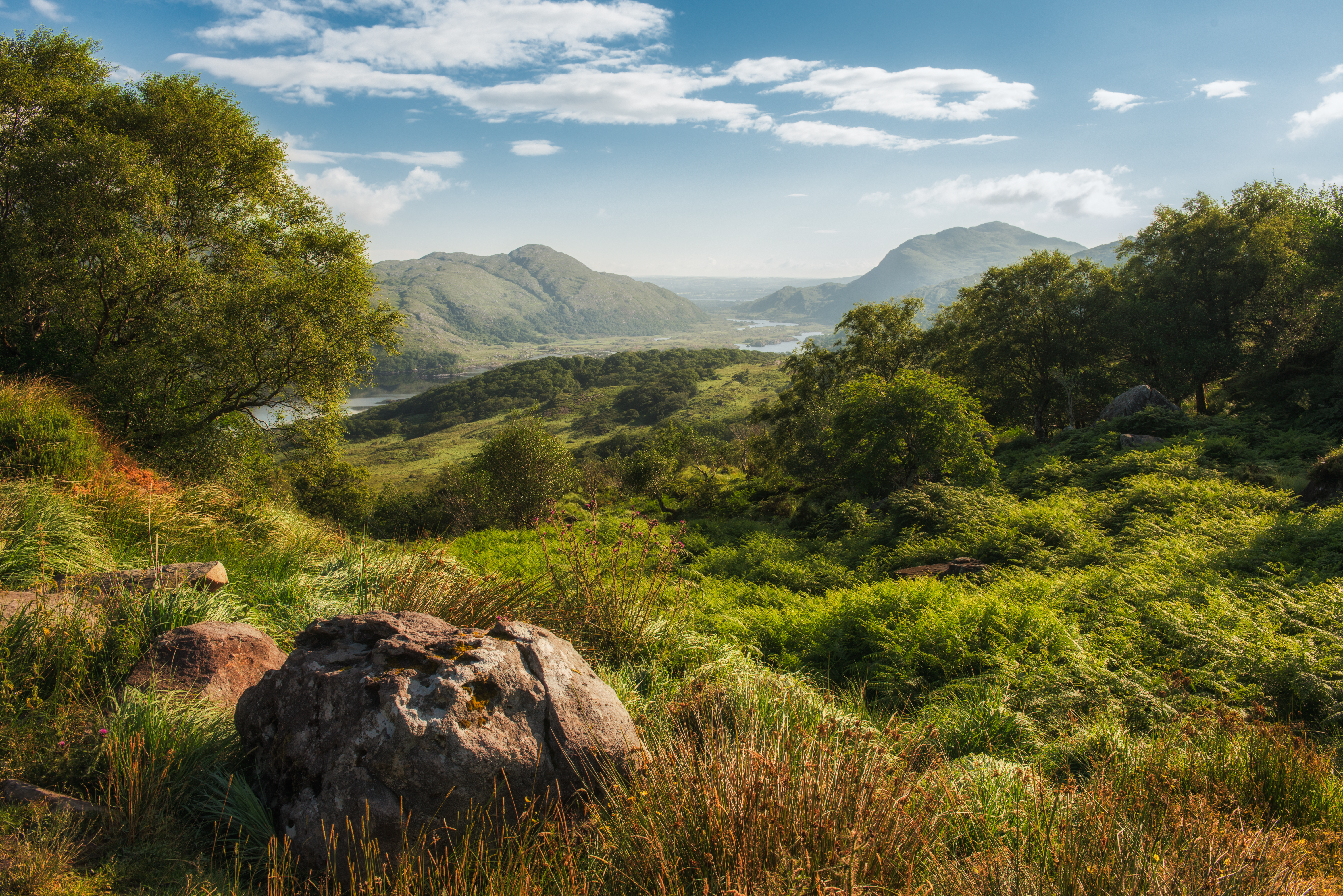 Killarney National Park Travel | County Kerry, Ireland - Lonely Planet