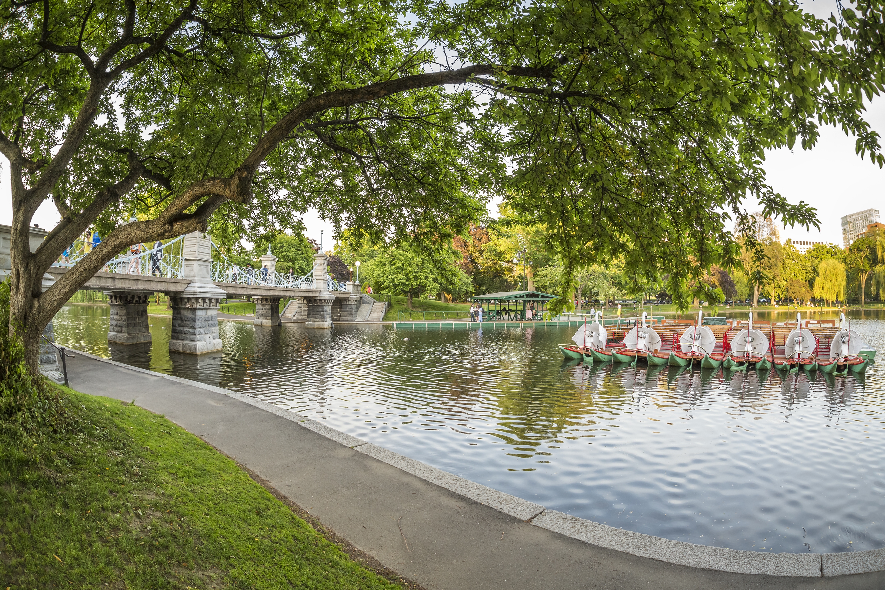 Public Garden | Boston, USA Attractions - Lonely Planet