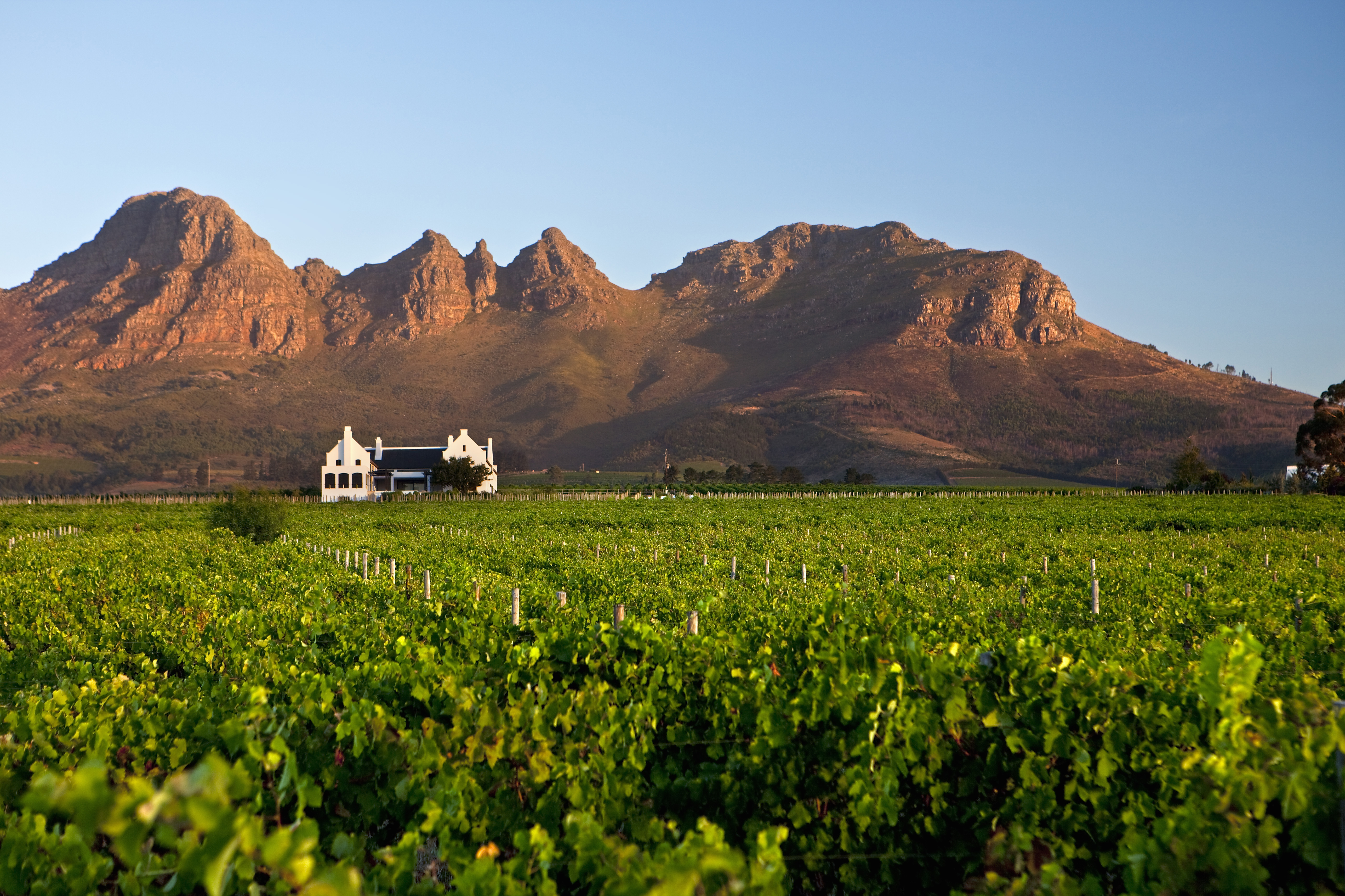 Stellenbosch Travel | South Africa - Lonely Planet