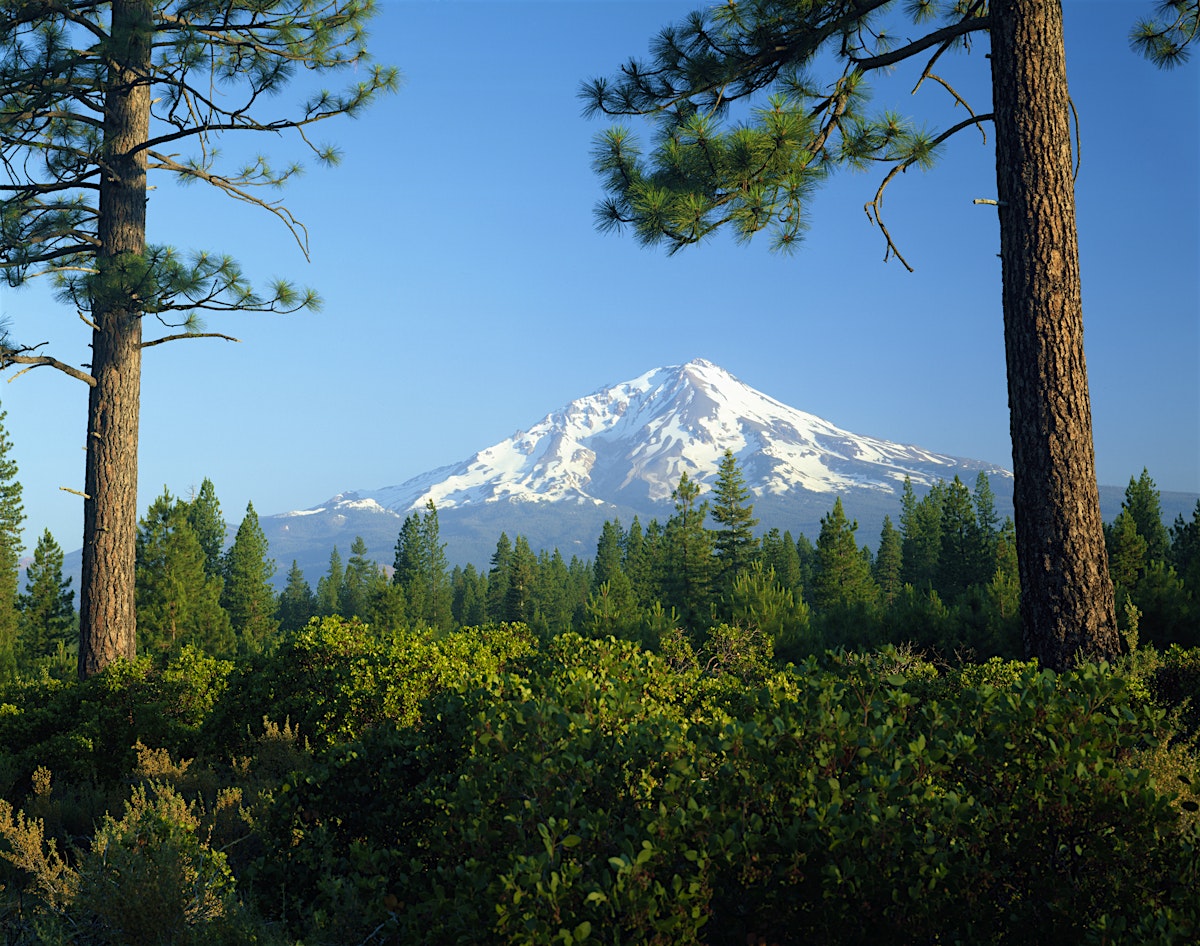 Mt Shasta travel California, USA Lonely