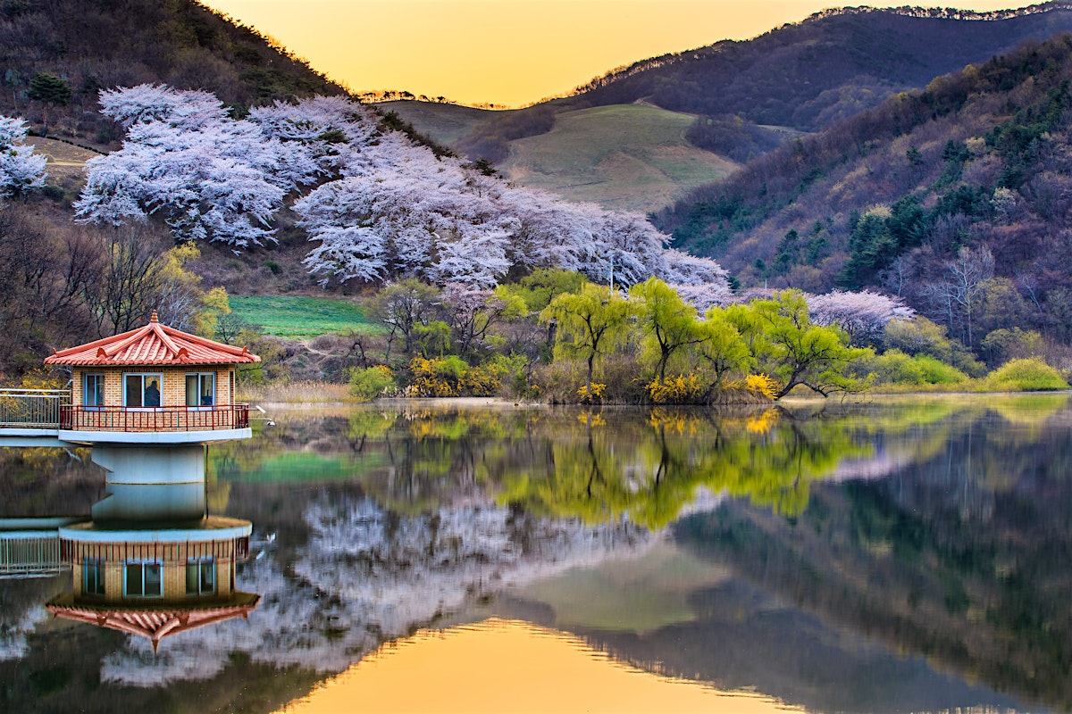 Chungcheongnam-do travel | South Korea - Lonely Planet