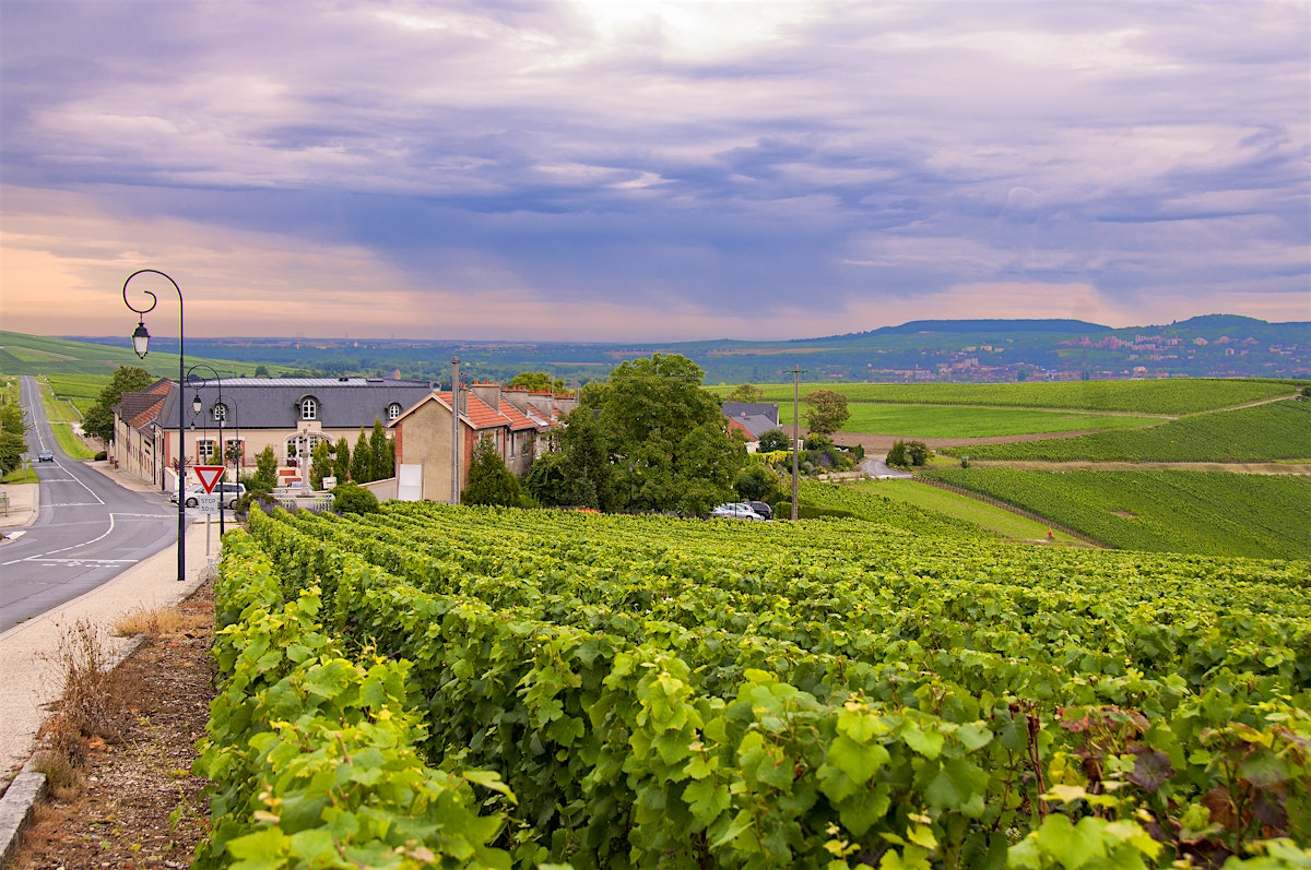 france insurance visa health Épernay Lonely Planet travel france insurance visa health Épernay Lonely Planet travel