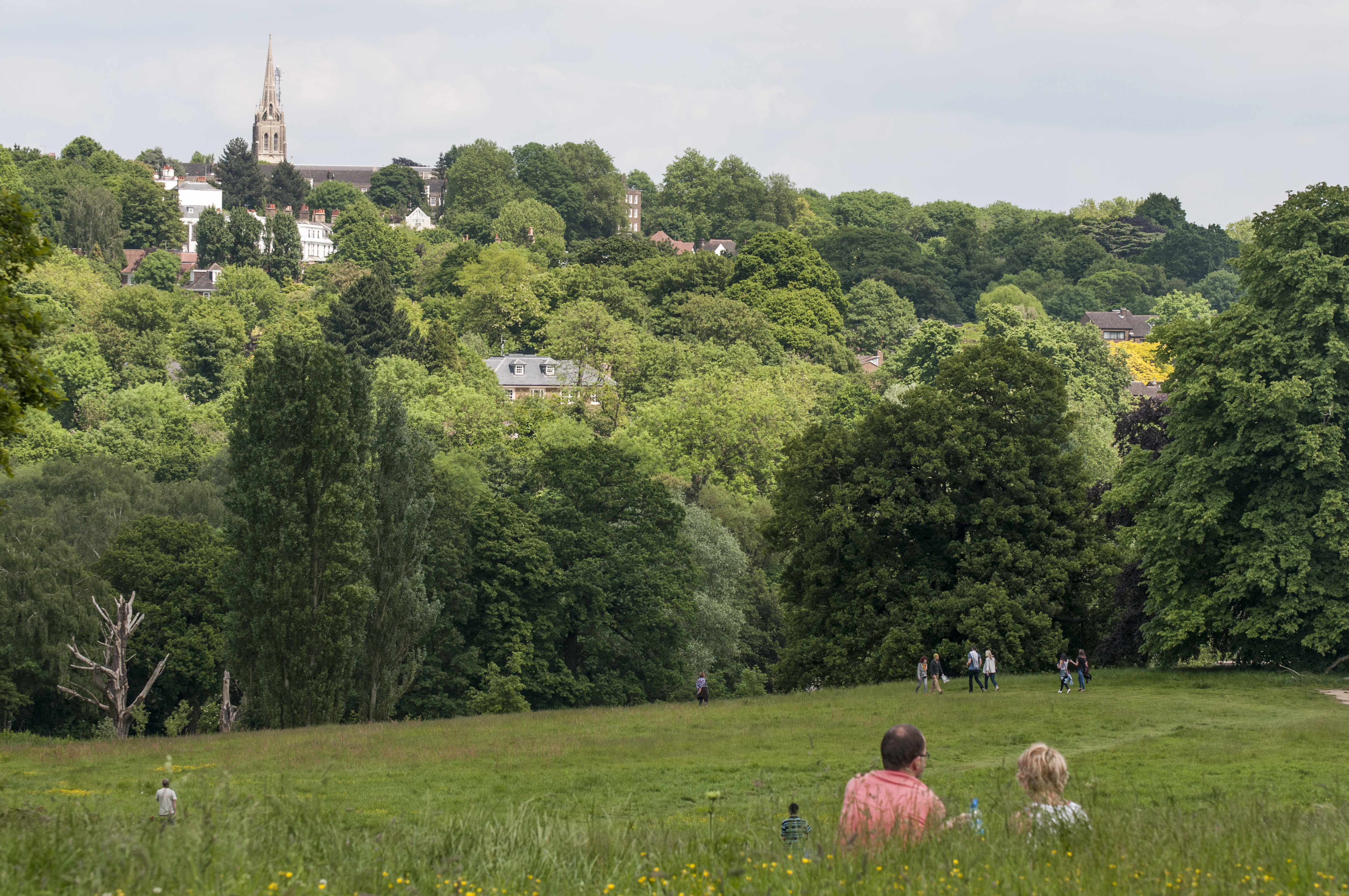 Hampstead Heath | London, England Attractions - Lonely Planet
