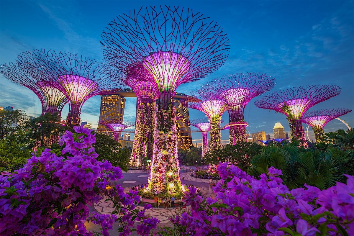 Singapore Botanical Park | Foto: Lonely Planet