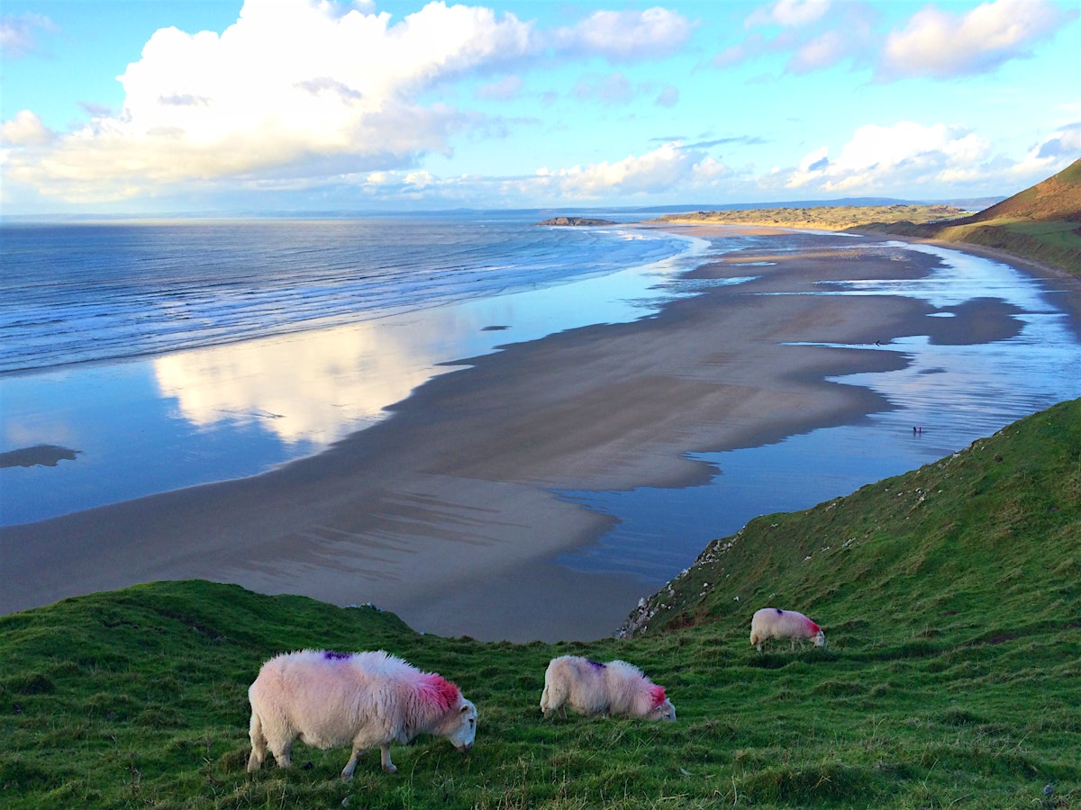 Gower Peninsula (Y Gŵyr) travel | Wales - Lonely Planet