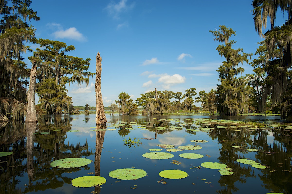 Cajun Country travel - Lonely Planet