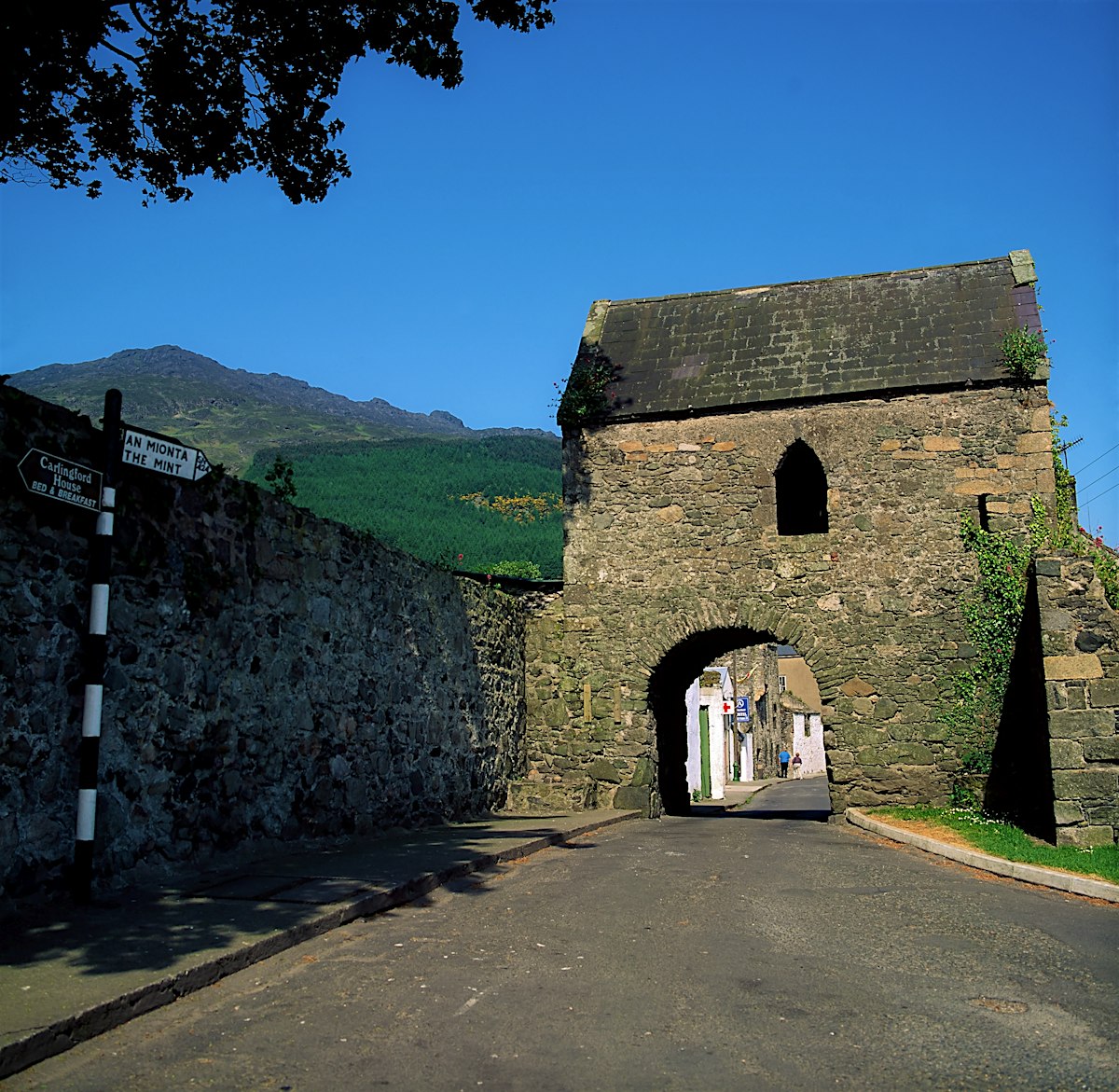 Carlingford travel County Louth, Ireland Lonely